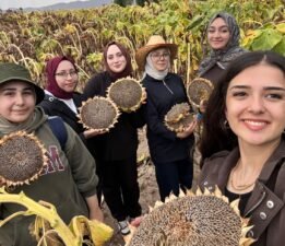 GENÇLER PASİN OVASINDA HASAT YAPTI