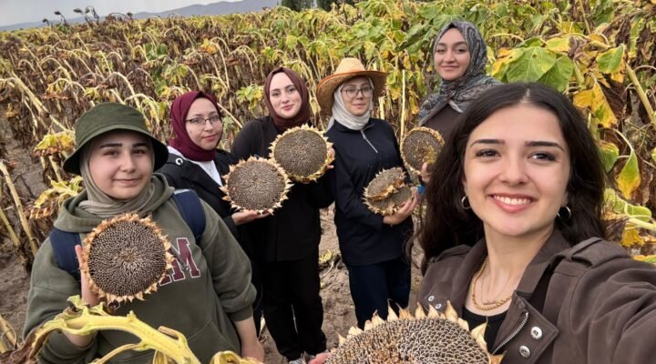 GENÇLER PASİN OVASINDA HASAT YAPTI